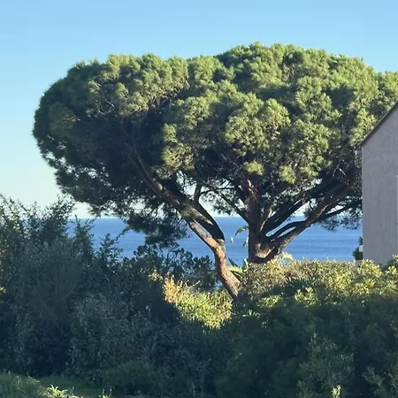 Les Coteaux De La Nartelle-26 By Interhome Lejlighed Sainte-Maxime